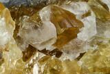 Bargain, Lustrous Yellow Calcite Crystal Cluster - Fluorescent! #138686-2